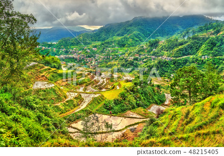 Banaue Rice Terraces - northern Luzon, UNESCO world heritage in Philippines. 48215405