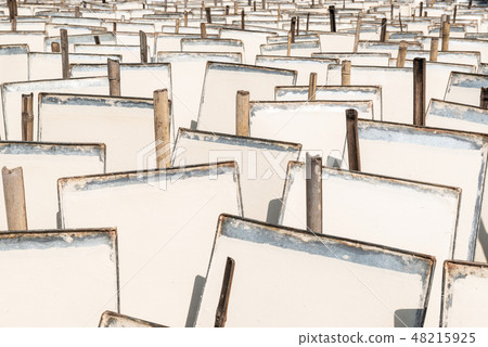 Traditional Nepalese lokta paper drying in the sun 48215925