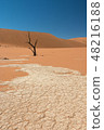 Namibia Namib Desert Dead Swamp Dead Fray 48216188