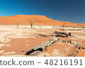 Namibia Namib Desert Dead Swamp Dead Fray 48216191