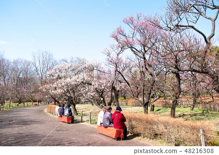 Fuchu City Local Forest Museum, Tokyo Umeen Fuchu City Local Forest Museum, Tokyo Umeen 48216308