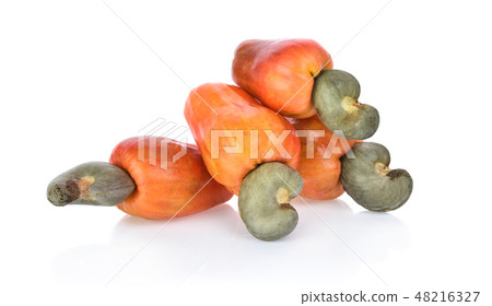 Red cashew fruit isolated on white background Red cashew fruit isolated on white background 48216327