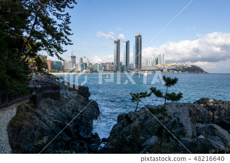 Haeundae beach coast 48216640