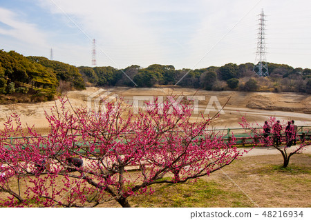 Sagli river with water removed and plum 2/18 taken Sagli river with water removed and plum 2/18 taken 48216934