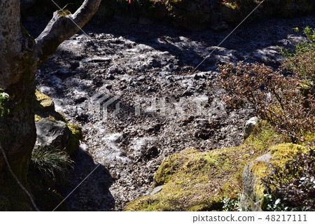 Shogakuin皇宮皇宮 48217111