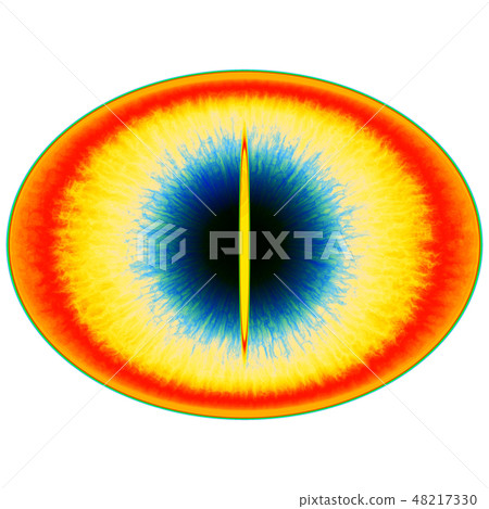 Rentgen photo. Isolated elliptic animal eye 48217330