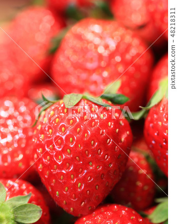 Ichigo圖像 48218311