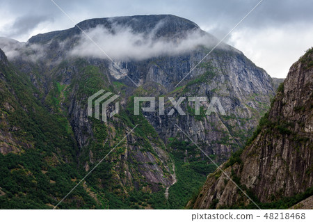 Foggy mood in the mountains 48218468