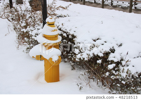 Ground fire hydrant. Hokkaido Hakodate City. 48218513