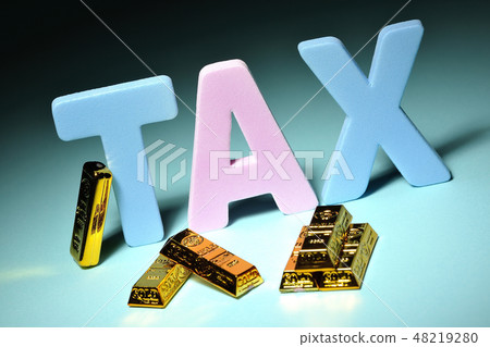 Pay taxes 48219280