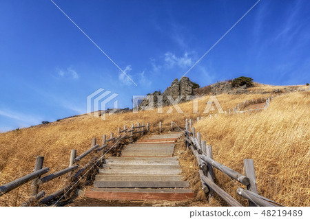 ganwoljae trails with reeds ganwoljae trails with reeds 48219489