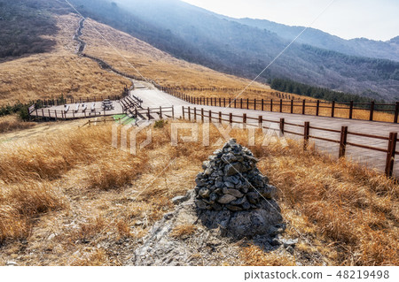 ganwoljae trails with reeds 48219498