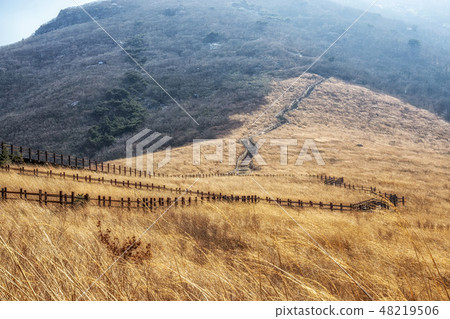 ganwoljae trails with reeds ganwoljae trails with reeds 48219506