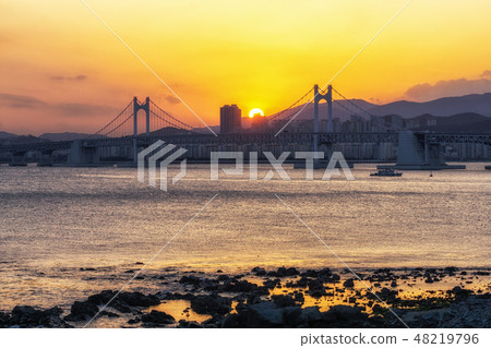 Busan Gwangandaegyo Bridge 48219796