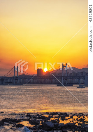 Busan Gwangandaegyo Bridge 48219801