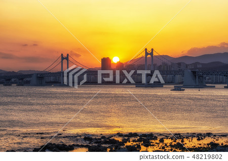 Busan Gwangandaegyo Bridge Busan Gwangandaegyo Bridge 48219802