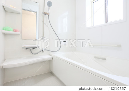 模型房子美麗的單位浴 模型房子美麗的單位浴 48219867