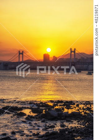 Busan Gwangandaegyo Bridge Busan Gwangandaegyo Bridge 48219871