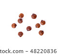 quinoa seeds on white background 48220836