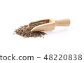 Cumin seeds on white background 48220838