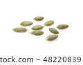 Raw pumpkin seeds on white background 48220839