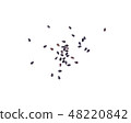 black sesame on white background 48220842