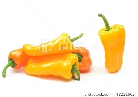 Sweet yellow pepper isolated Sweet yellow pepper isolated 48221602