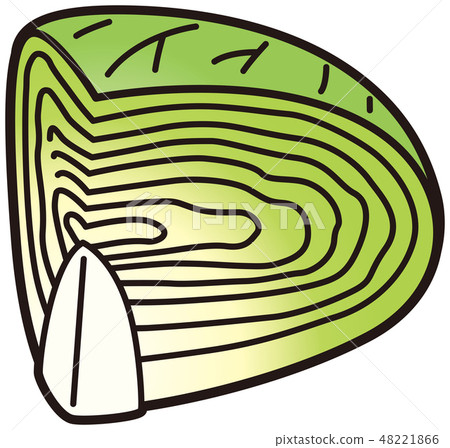 1/4 cabbage cut 48221866