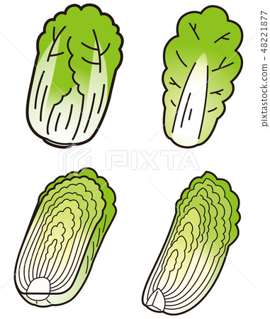 套大白菜 48221877