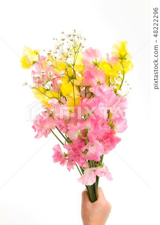 Sweet pea bouquet Flowers sweet pea bouquet 48222296