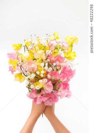 香豌豆花束開花香豌豆花花束 48222298