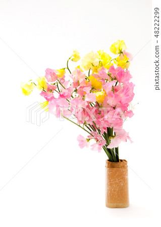 香豌豆花束開花香豌豆花花束 48222299