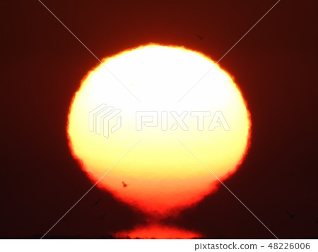 Sun Sunrise Jung Dongjin Sun Sunrise Jung Dongjin 48226006