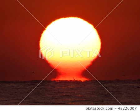 太陽日出鄭東進 48226007