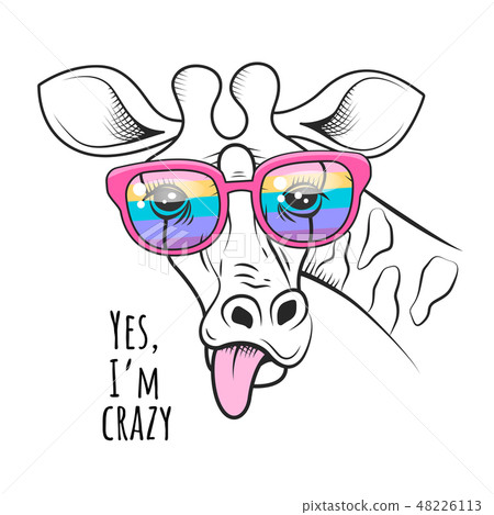 Giraffe sticking out tongue funny poster Giraffe sticking out tongue funny poster 48226113