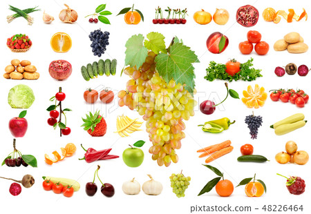 Large set vegetables and fruits isolated on white  48226464
