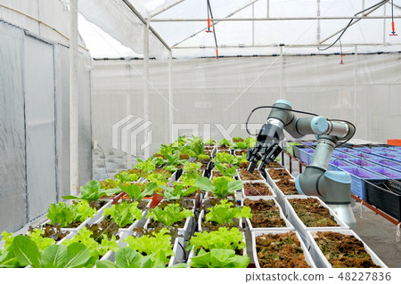 Robotic on smart farm concept 48227836