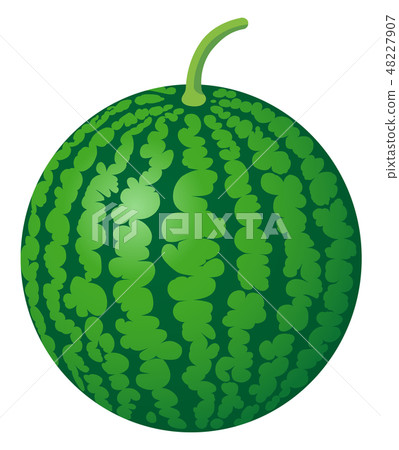 Watermelon watermelon white background 48227907