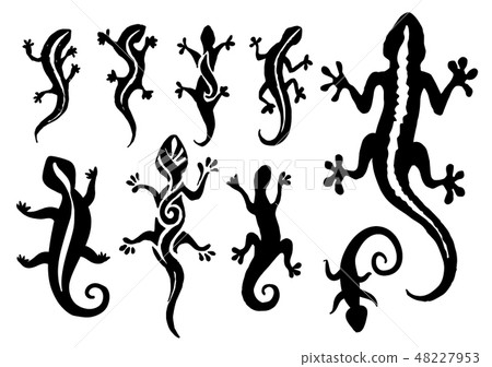 Vector hand drawn illustration of lizard silhouette on white background. Vector hand drawn illustration of lizard silhouette on white background. 48227953