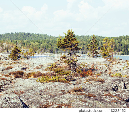 wild north nature landscape. lot of rocks on lake shore post card view 48228462
