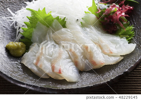 Sea bream sashimi 14 48229145