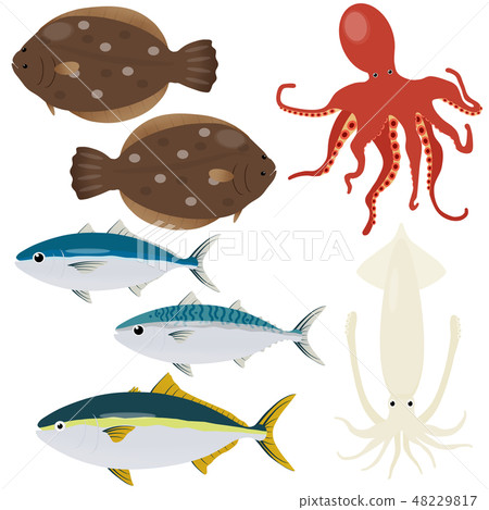 各種魚 48229817