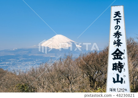 從Kinzitayama看到的富士山 48230821