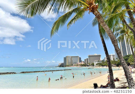 Holidays in Hawaii Holidays in Hawaii 48231150