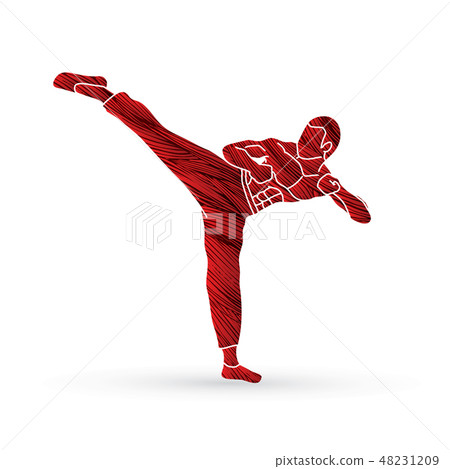 Kung fu, Karate kick graphic vector 48231209