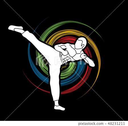 Kung fu, Karate kick graphic vector 48231211
