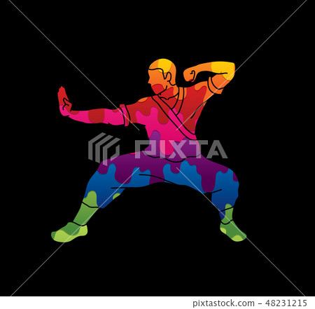 Kung fu action ready to fight graphic vector 48231215