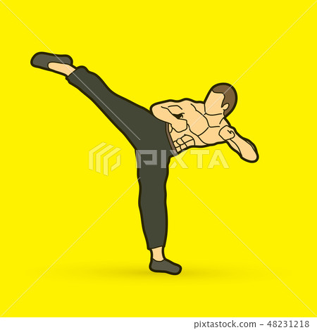 Kung fu, Karate kick graphic vector 48231218