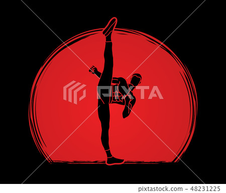 Kung fu, Karate high kick front view vector Kung fu, Karate high kick front view vector 48231225