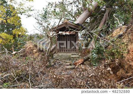 Akutagayama Castle Ruins Honmaru shrine after typhoon damage Akutagayama Castle Ruins Honmaru shrine after typhoon damage 48232880